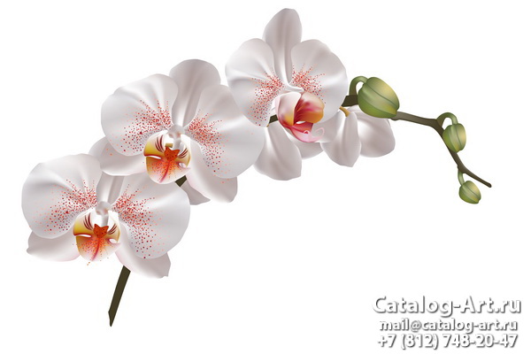 картинки для фотопечати на потолках, идеи, фото, образцы - Потолки с фотопечатью - Белые орхидеи 24